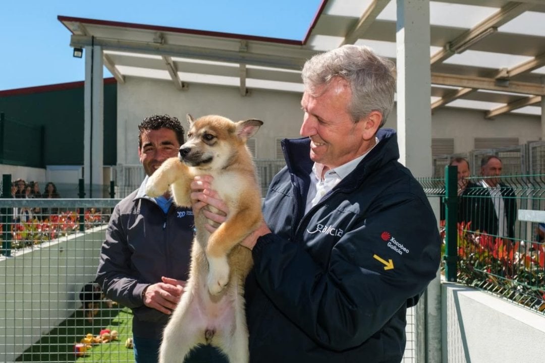 Alfonso Rueda, durante la visita a un centro de adopción de mascotas.