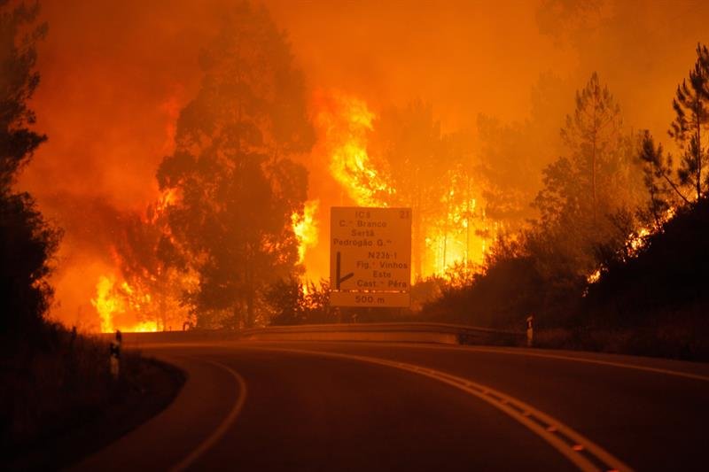 Resultado de imagen para incendio en portugal