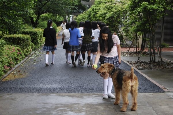 La perra Terry con sus alumnas. (Foto: Yoko Kaneko)