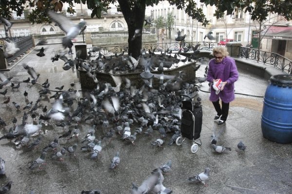 Una mujer da de comer a las palomas en un parque. (Foto: Miguel Angel )