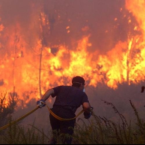 Miembros de los servicios de lucha contra incendios intentan hacer frente a las llamas.