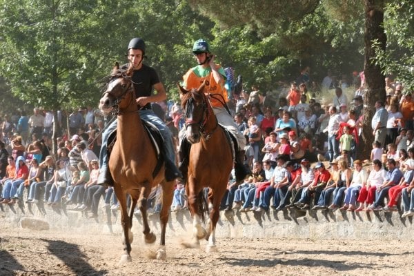 Unha competición na Festa do Cabalo de Maside. (Foto: Archivo )