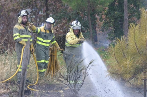Tres bomberos de Ourense controlan las llamas producidas en maleza, en Velle. (Foto: Xesús Fariñas )