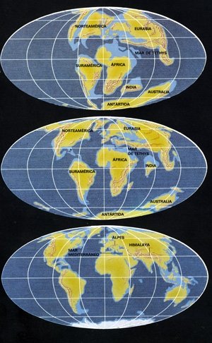 Imagen de la evolución de los continentes. (Foto: archivo)
