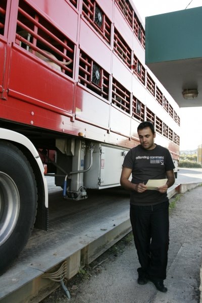 Un camión utiliza la báscula municipal de Xinzo. (Foto: Marcos Atrio)
