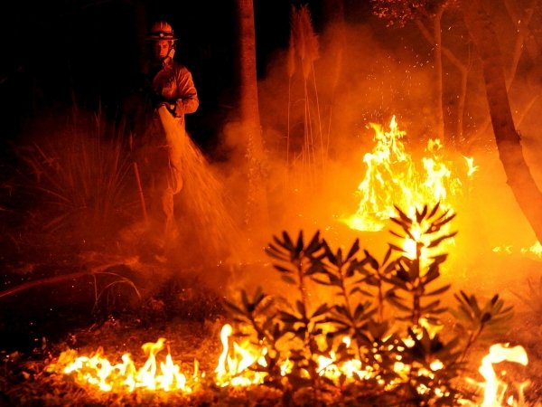 Los bomberos tratan de extinguir las llamas. (Foto: Andrew Gombert)