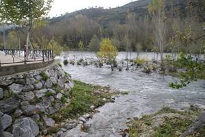 Árboles en la desembocadura del arroyo Mariñán en el Sil