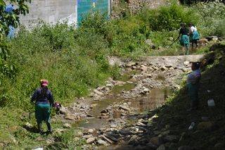 Un grupo de trabajadores del Plan Laxa de O Barco, limpiando el arroyo Cigüeño.