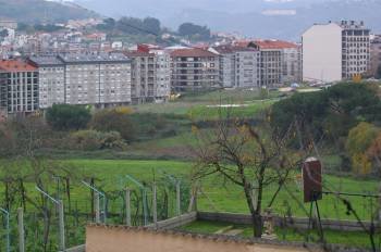 Imagen de la Finca Santamarina, donde se prevé el proyecto. (Foto: JOSÉ PAZ)