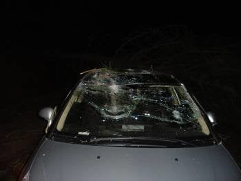  Estado del coche de Viiamartín dañado por un árbol.  (Foto: José Cruz)