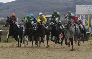 El pelotón de caballos inicia una de las cinco carreras de la jornada hípica desarrollada en Antela. (Foto: MARTIÑO PINAL)