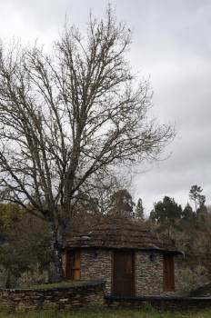 Un dos bungalós construidos no camping do Carballiño. (Foto: MARTIÑO PINAL)