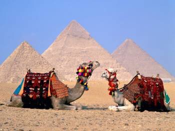 Los camellos dejarán de visitar las pirámides.
