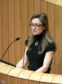 Marta Fernández Currás, durante su intervención en el Pleno del Parlamento. (Foto: Lavandeira jr)