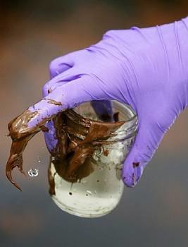 Una científica recoge una muestra de crudo en una zona cercana a Venice, Louisiana. 