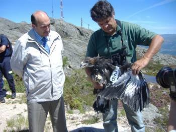 Rogelio Martínez observa como un técnico procede a la liberación de una de las águilas. (Foto: LR)