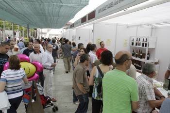 Un grupo de visitantes degustan viños na Alameda.