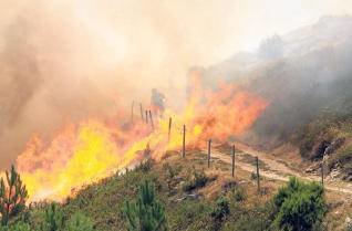 Operarios de las brigadas contraincendios trabajan en medio de las llamas para sofocar el fuego