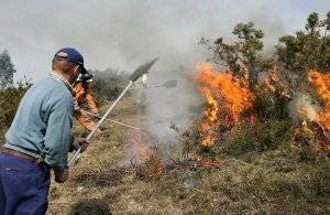 Especialistas en la extinción de incendios sofocan, junto a un vecino, un fuego en el monte