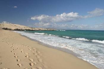 Una playa de La Oliva (Fuerteventura) 