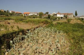 Un campo con verdura en la localidad de Quins. (Foto: Martiño Pinal)