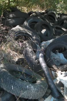 Neumáticos acumulados en un monte. (Foto: Luis Blanco)