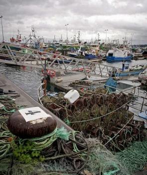 La flota pesquera amarrada en el puerto de A Coruña