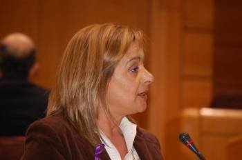 La senadora viguesa Carmen Silva en el Senado. (Foto: )