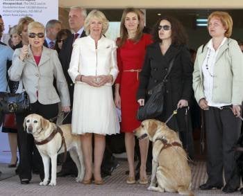  La princesa de Asturias y la duquesa de Cornualles acudieron hoy a conocer el programa de perros-guía que desarrolla la Fundación Once en Boadilla del Monte (Madrid). EFE