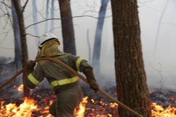 Un miembro de los equipos de extinción se afana en la extinción del incendio entre Bande y Verea. (Foto: JOSÉ PAZ)