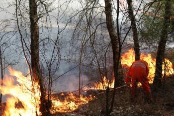 Imagen del incendio registrado en Bande el pasado 8 de este mes, cuando ardieron 430 hectáreas. (Foto: JOSÉ PAZ)