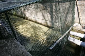 Así de destrozada quedó la red protectora del canal de cría de Toscaña. (Foto: MARCOS ATRIO)