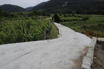 El nuevo acceso facilitará los trabajos en numerosos viñedos de Francelos. (Foto: MARTIÑO PINAL)