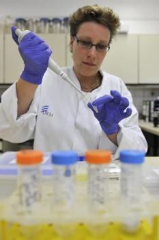 Una asistente de laboratorio examina una colonia de bacterias. (Foto: MARIUS BECKER)