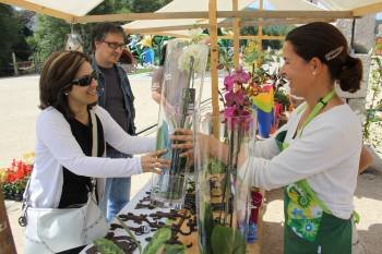 El mercado de flores del festival amplió ayer su horario de apertura para atender la demanda. (Foto: Miguel Ángel)