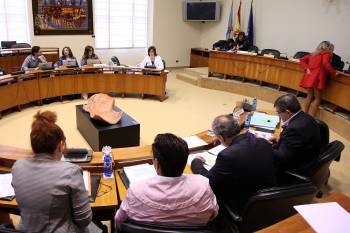 Los miembros de la comisión parlamentaria que abordó la Ley de Familia, durante el debate. (Foto: VICENTE PERNÍA)