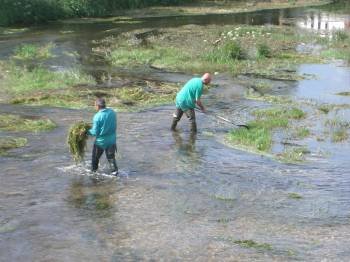 Operarios municipales limpian el río Támega, a su paso por Verín. (Foto: )