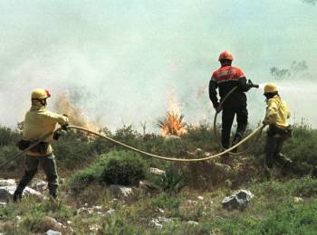 Miembros de las brigadas de extinción de incendios (Foto: EFE)