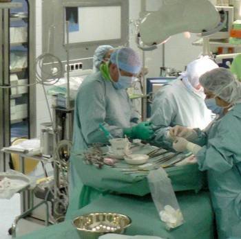 Operación de trasplante (Foto: Archivo EFE)