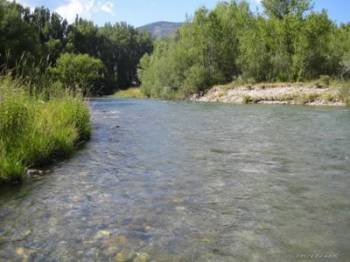 Un río de Galicia (Foto: Archivo)