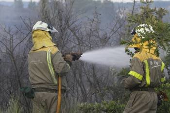 Un equipo de extinciónlucha contra un incendio de maleza en Reboredo, San Cibrao das Viñas. (Foto: MIGUEL ÁNGEL)
