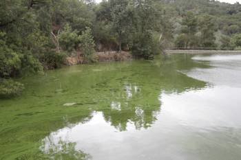 Estado en el que se encontraba ayer el agua de Cachamuiña, de color verdoso. (Foto: MIGUEL ÁNGEL)