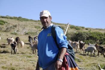 Francisco Rodríguez posa delante de su rebaño de ovejas. (Foto: L.B.)
