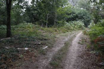 El sendero comunica Fondo de Vila y Astureses a través del bosque. (Foto: XESÚS FARIÑAS)