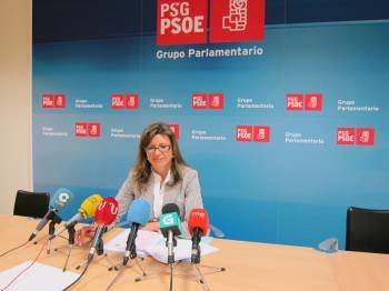  La viceportavoz del PSdeG en el Parlamento de Galicia, María José Caride, en rueda de prensa. (Foto: EUROPA PRESS)
