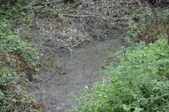 Las aguas fecales salen de la tubería de saneamiento y vierten al regato. (Foto: MARTIÑO PINAL)