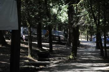 Espacio boscoso en el Parque municipal de Carballiño. (Foto: MARTIÑO PINAL)