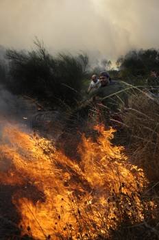 Varios vecinos combaten las llamas en Viduedo (Cea). Foto: Martiño Pinal