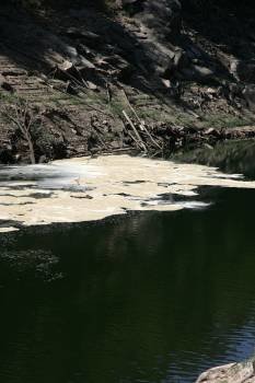 Algas tóxicas en la cola de la presa de Lindoso (Lobios). (Foto: MARCOS ATRIO)