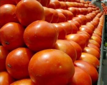 En la imagen, un puesto de tomates. (Foto: Archivo EFE)